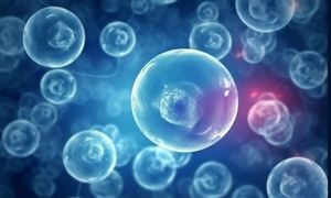 电竞行业发展现状：2023年中国电星空体育竞市场规模约1664亿元 同比增长54%(图3)