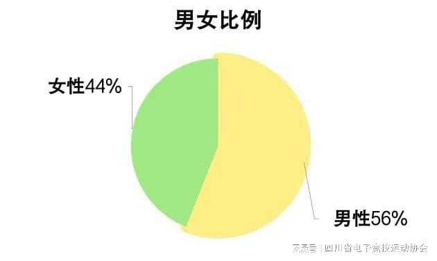 2024四川省电子竞技产业报告星空体育注册(图7)