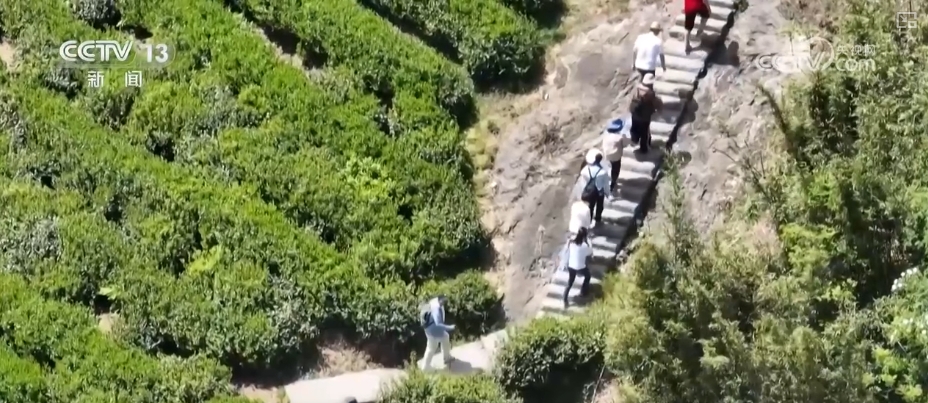 “赛事经济”激活绿水星空体育下载青山 “户外+”跨界融合全业态释放消费新热点(图9)